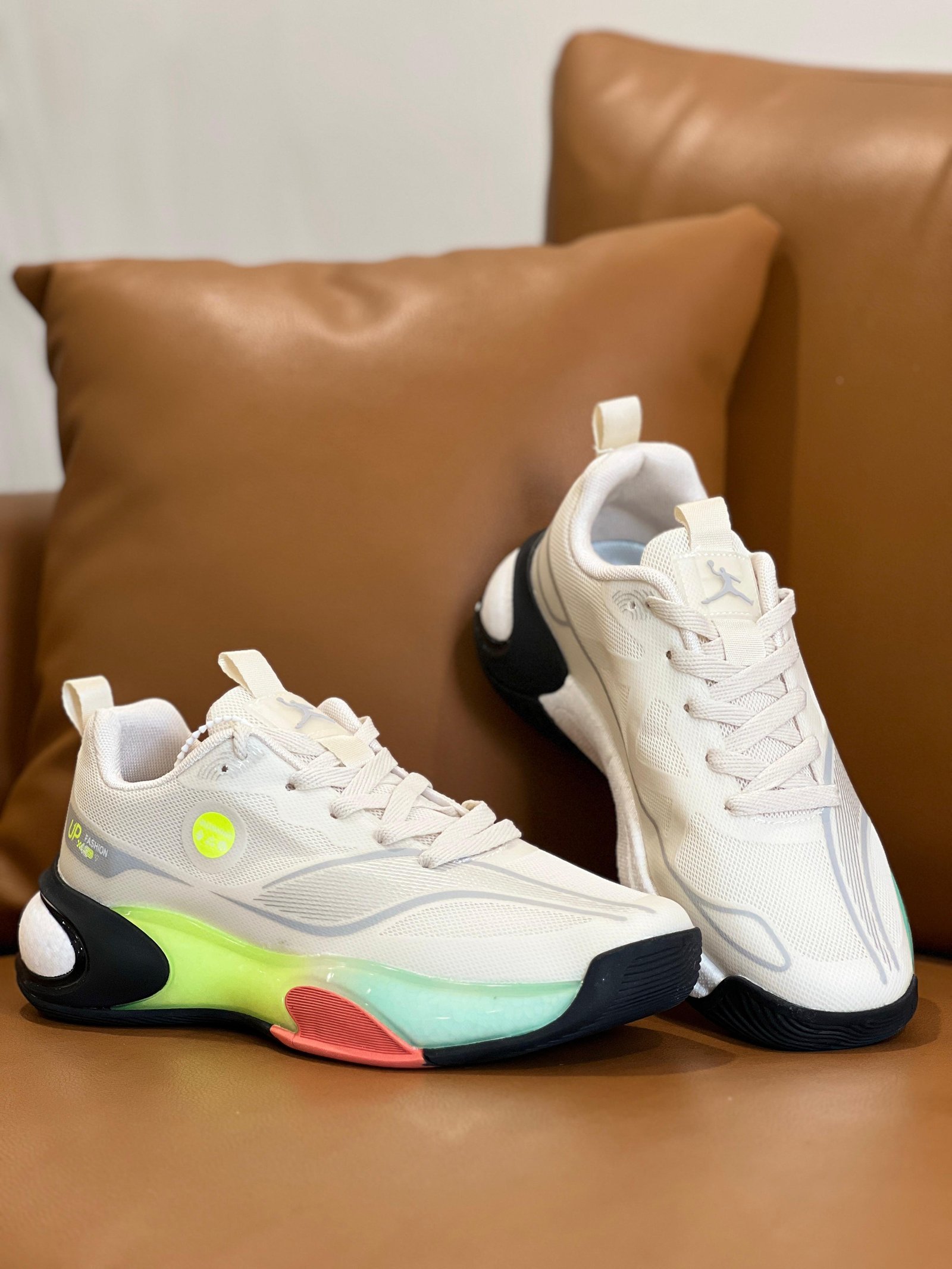 Magnetic shoes
