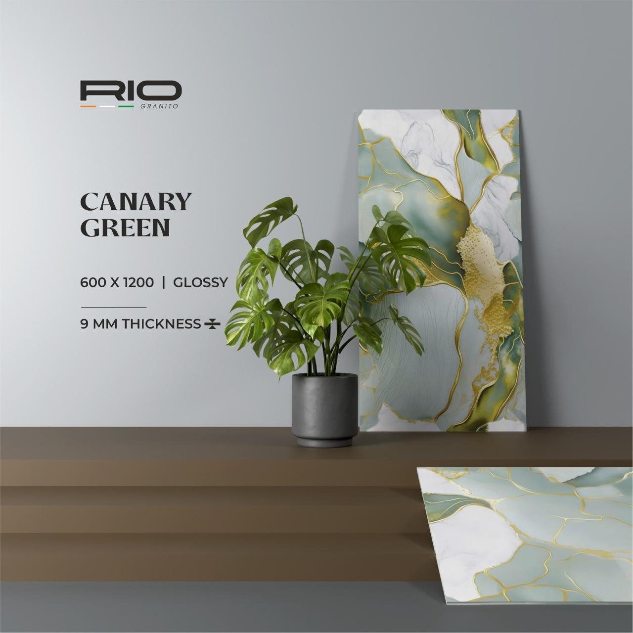 RONAK GAMI | MARKETING DIRECTOR