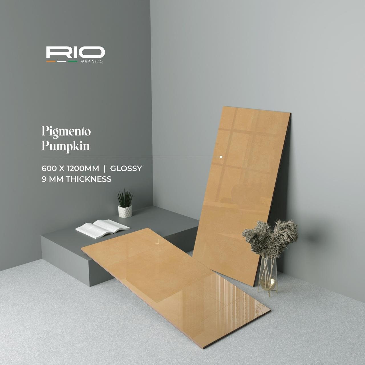 RONAK GAMI | MARKETING DIRECTOR